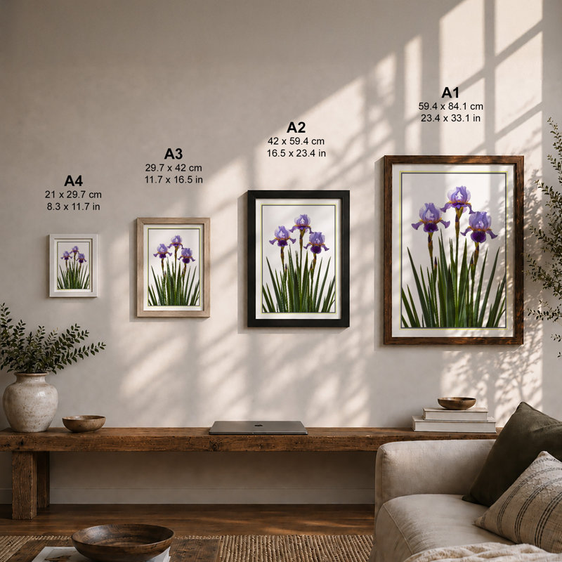 Iris Bloom Botanical - Framed Print, A4 - 29.7 x 21.0 cm, Unframed