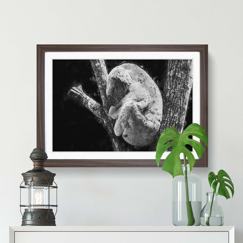 Koala Bear Resting in a Tree - Picture Frame Photograph Print, Walnut Framed, 27cm H x 36cm W x 2cm D