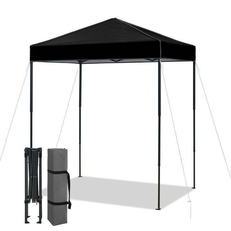 6x4 Canopy Tent, Heavy Duty Pop up Canopy with Carry Bag, Black