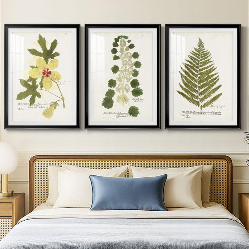 Nature Printed Botanicals douzième, Noir, H 21 po x l 30 po