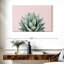 Agave Harnek Blush-107857541