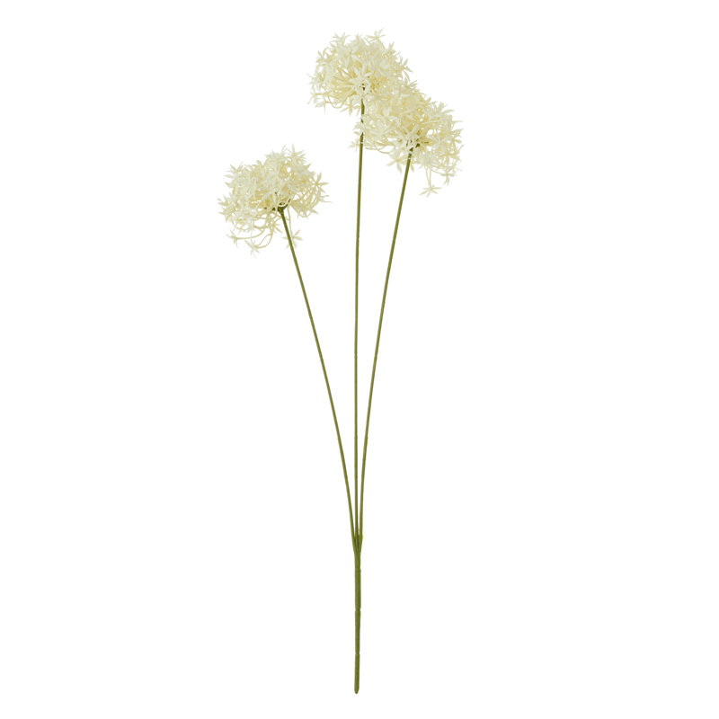 Anastasija Arrangement