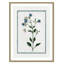 Colombe Shabby Elegance Botanical II - Art encadré-72514455-72514449