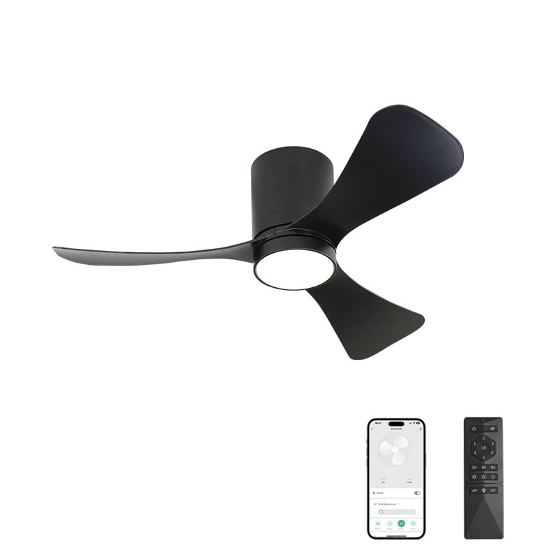 Apolino 42'' Ceiling Fan with LED Lights, Black, Black