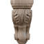 Corbeau Acanthus moyen moyen-58066640