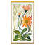 Wildflowers 13 Print by Judith Bigham-101973828