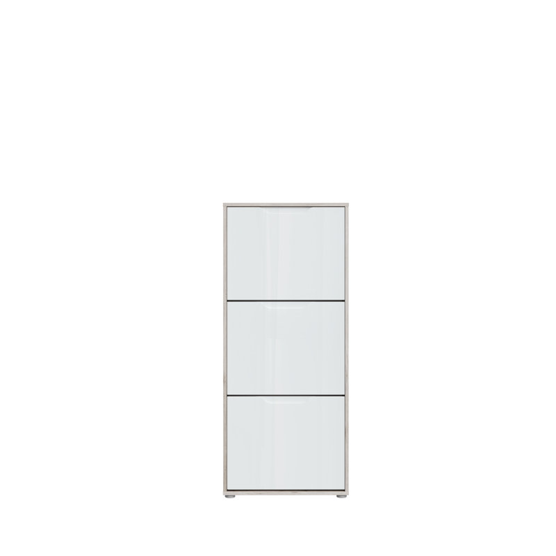 Raiana 12 Pair Shoe Storage Cabinet