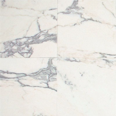 Marble Collection 24" x 12" Polished Natural Stone Field Tile in Calacatta Gold