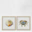 «Partners for Life Diptych», ensemble de 2 reproductions de peintures à l'aquarelle encadrées-27007766