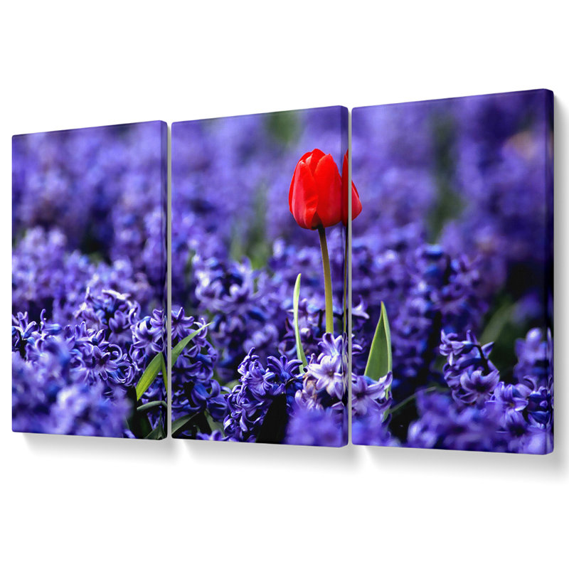 Red Tulip And Hyacinths - 3 Piece Wrapped Canvas Print, 101.6cm H x 203cm W