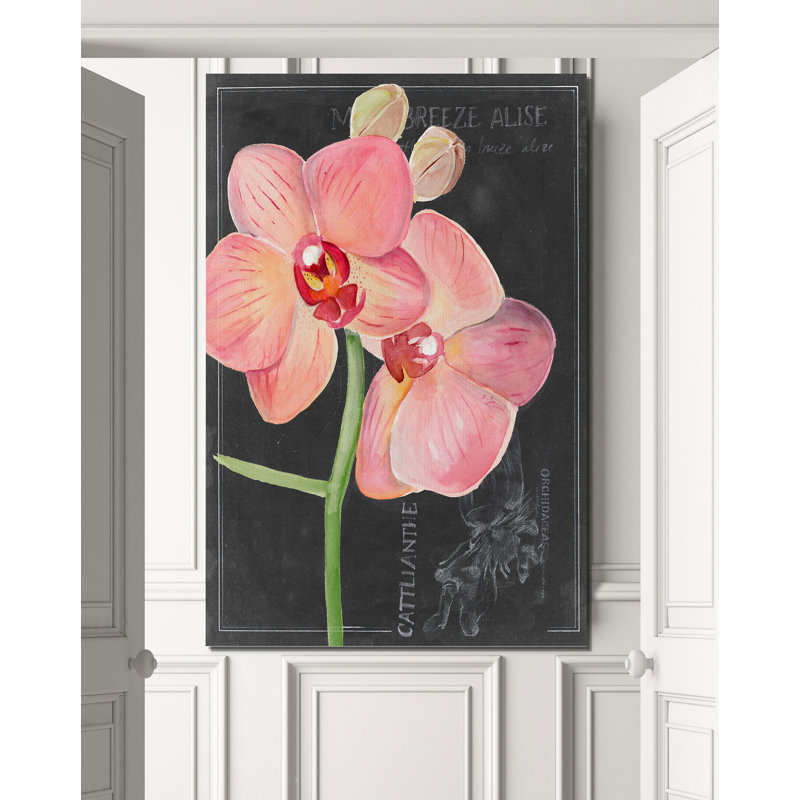 «Chalkboard Flower I», reproduction, H 27 po x l 18 po x 1,5 po, Toile tendue