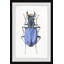 " Violet Beetle " Painting Print-26129221
