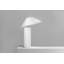 Damo Table Lamp-22556406