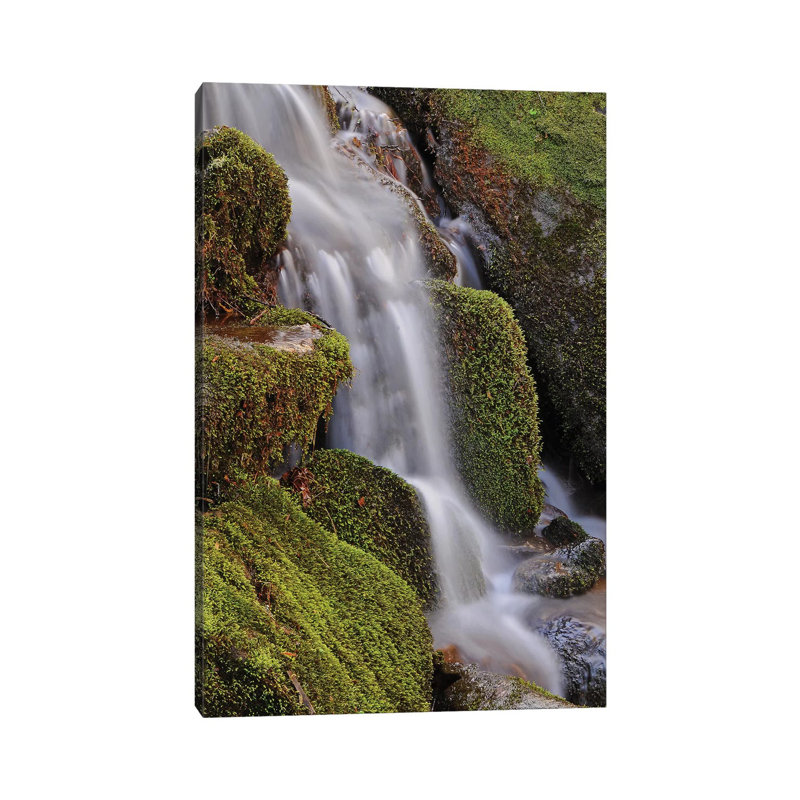 Mossy Waterfall by Brian Wolf - Wrapped Canvas Print, 66.04 cm H x 45.72 cm W x 3.175 cm D