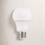 Maude 14 Watt LED Bulb-1974566177-1881569488