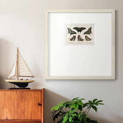 " Crackled Butterflies II "