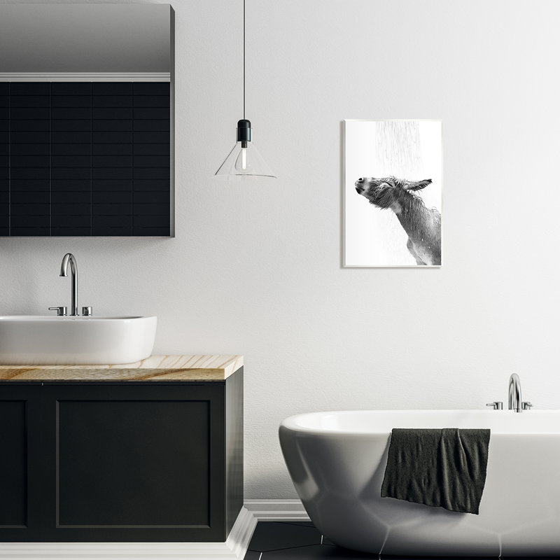 Az-231 - Impression encadrée d'âne pour la salle de bain, H 19 po x l 13 po x P 0,5 po