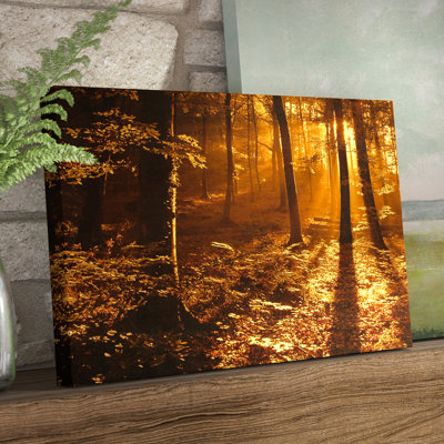 « matinée light », reproduction de photo sur toile