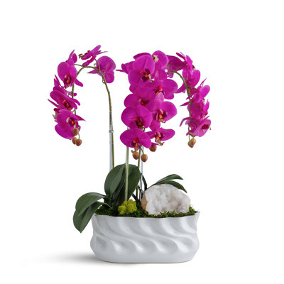 Triple Orchid ripple vase with a Moraccan Geode