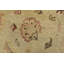 Tapis unique 5 pi 11 po x 6 pi Hadlea