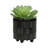 S/2 6/8" TEXTURED PLANTERS-39849594