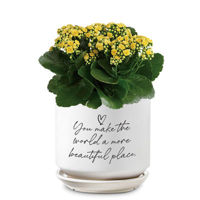 Planter You Make The World Beautiful