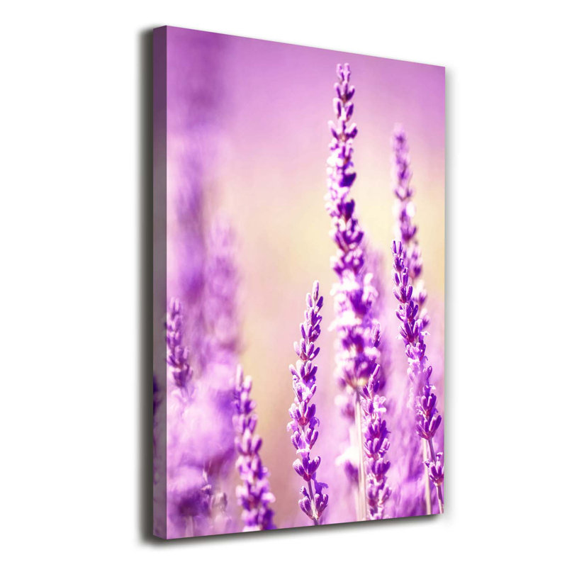 Lavender - Wrapped Canvas Print