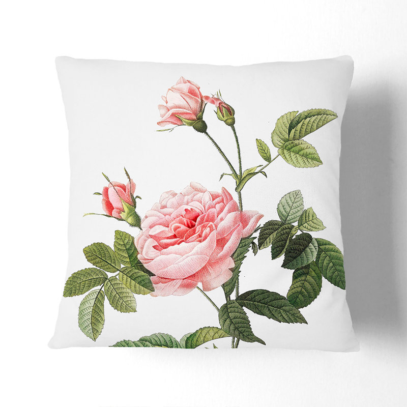 Square Cushion, 55cm H x 55cm W x 20cm D