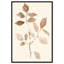 Sépia brins IV, reproduction d'art sur toile, Art naturel par Art Remedy-118192899-118192900