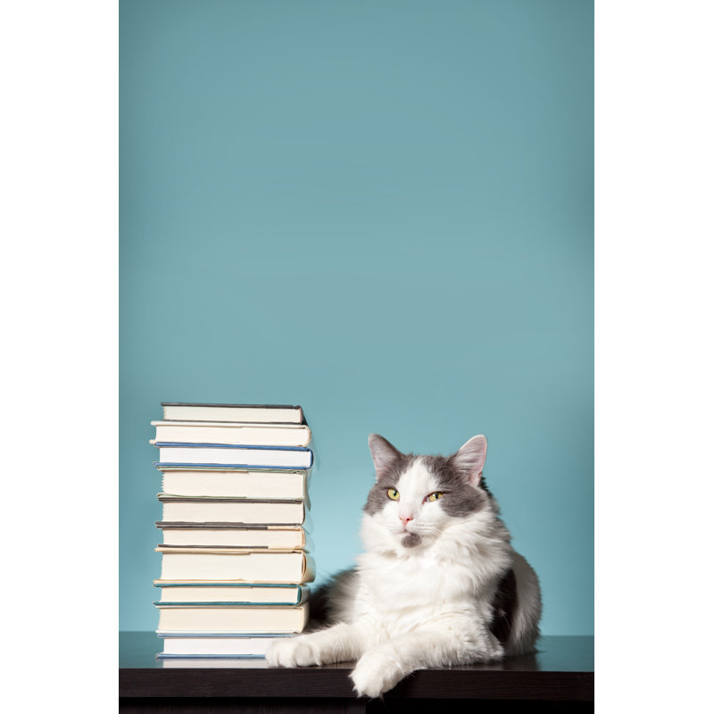 Adorable Cat by Sdominick - Wrapped Canvas Print, 122cm H x 81cm W x 3.8cm D