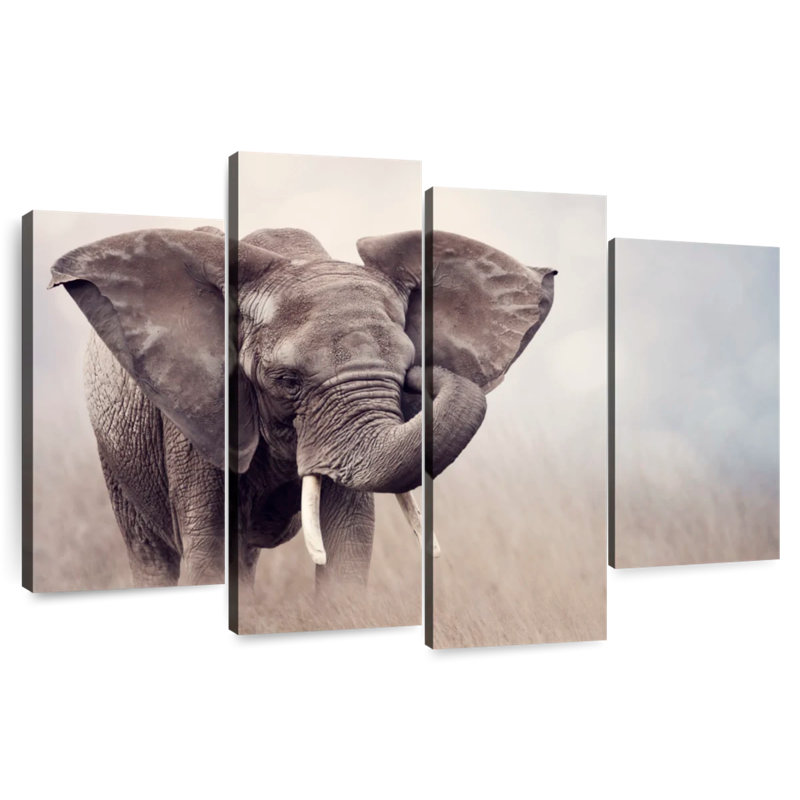 Young Savanna Elephant