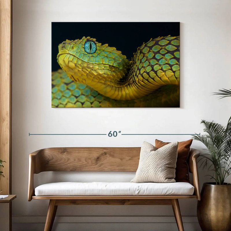 African Bush Viper, 30" H x 45" W