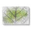 Lines of the Leaf in Abstract - Wrapped Canvas Drawing - Wrapped Canvas-55310874