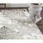 Davonn Floral Silver Area Rug-22789363