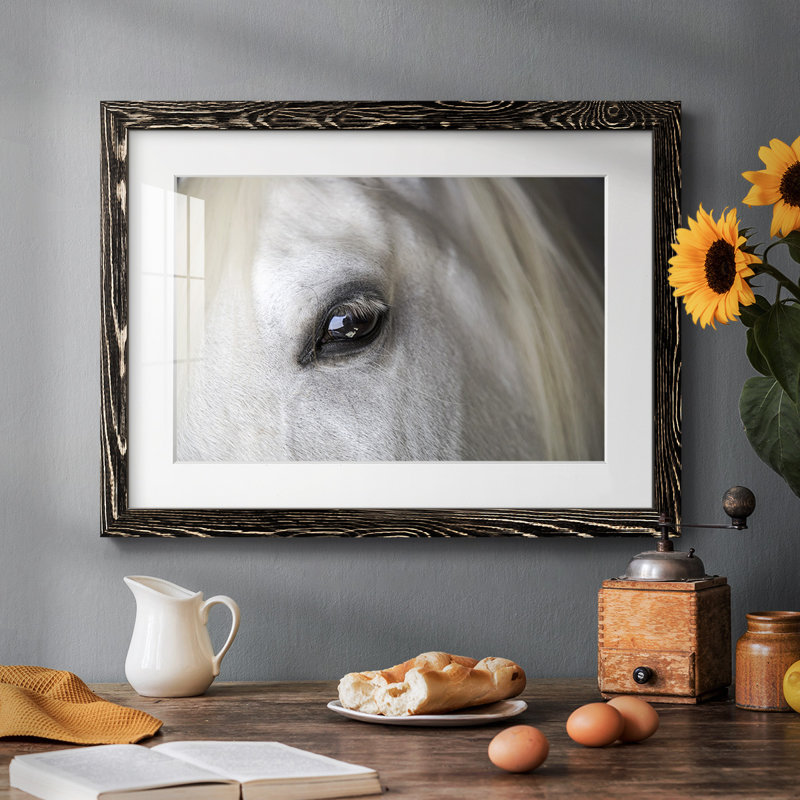Balearic Island Horse, impression sur papier, Noir, H 18 po x l 26 po x P 1,5 po