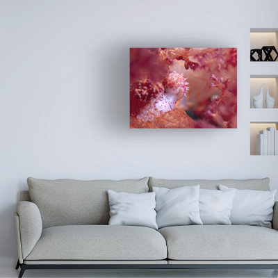 Yaron Halevy Pink Dream Canvas Art