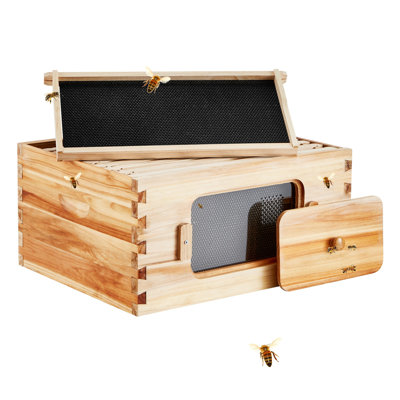 9.6 H Langstroth Deep Box Bee Hive Starter Kit - Natural Cedar Wood, Transparent Acrylic Windows