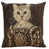 Brown Cat 6
