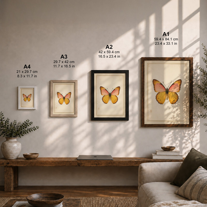 Centered Butterfly Botanical - Framed Print, A1 - 84.1 x 59.4 cm, Oak