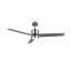 Laycey 52'' Ceiling Fan with LED Lights