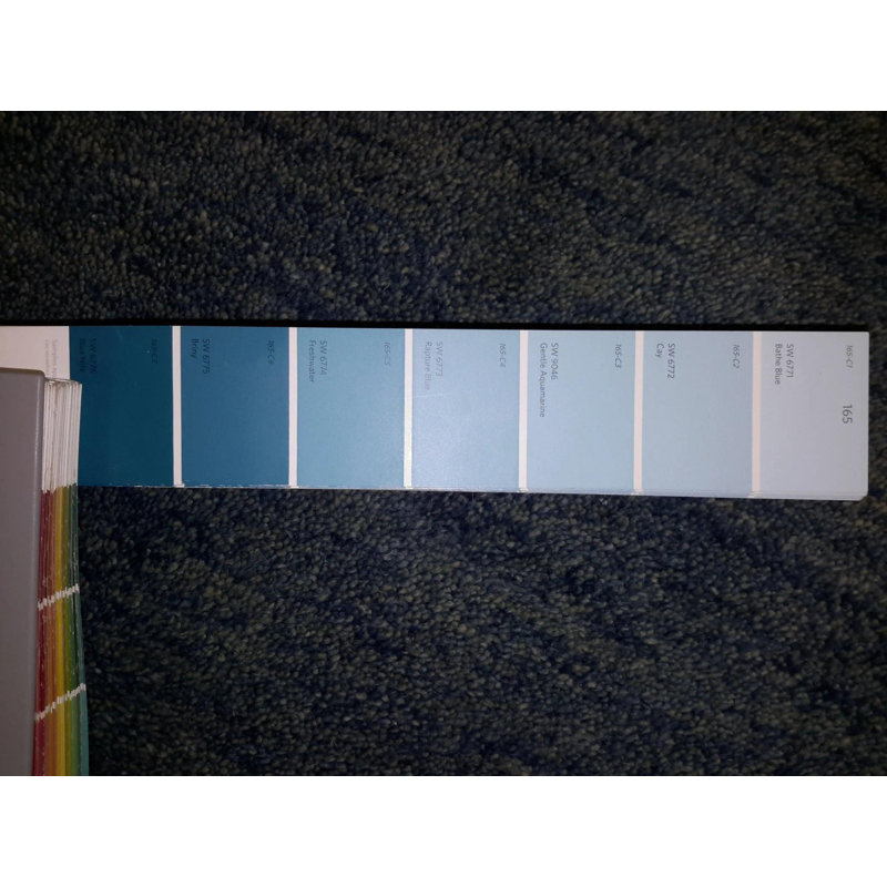Waddy Area Rug in Blue