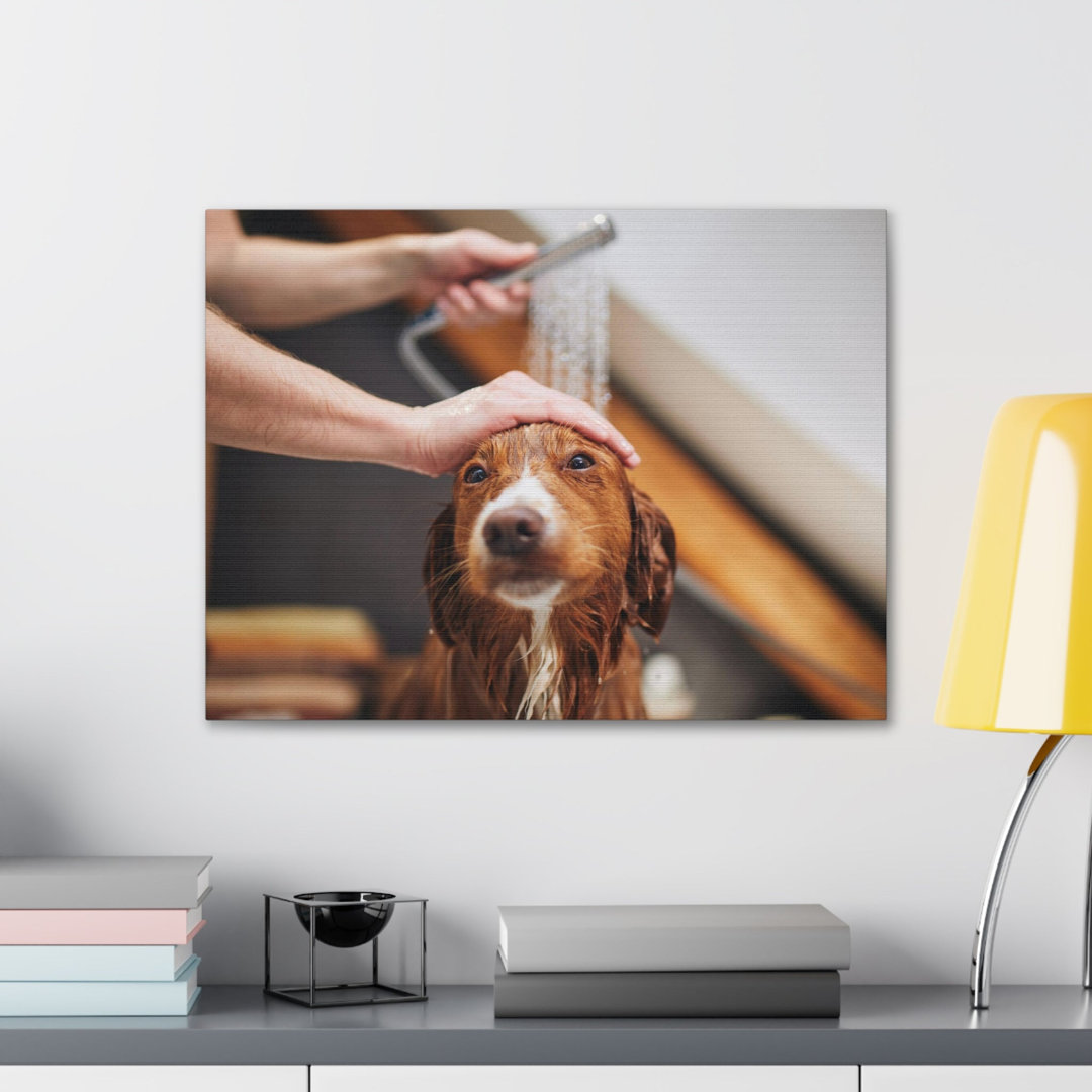No Frame Print on Canvas