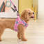 Harnais pour chien No-Pull avec laisse Gilet ajustable en maille respirante avec bandes réfléchissantes-1610832328-1664263297