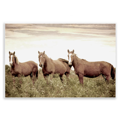 «Horse Trio Gaze» par Kim Allen