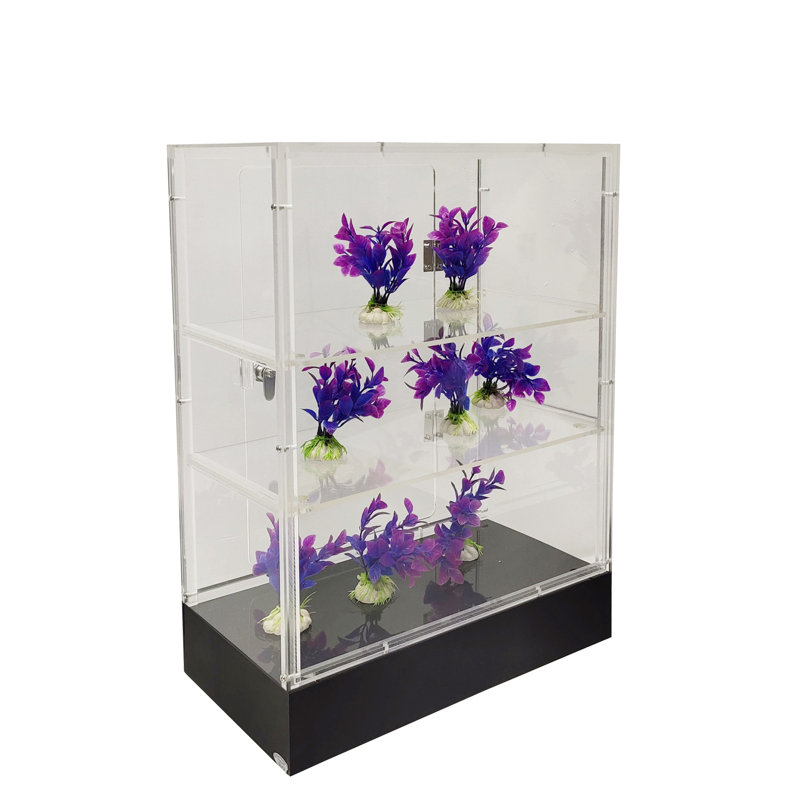Clear Cabinet Acrylic Display Removable Shelf Case Plexiglass Showcase with Lock and Key Transparent