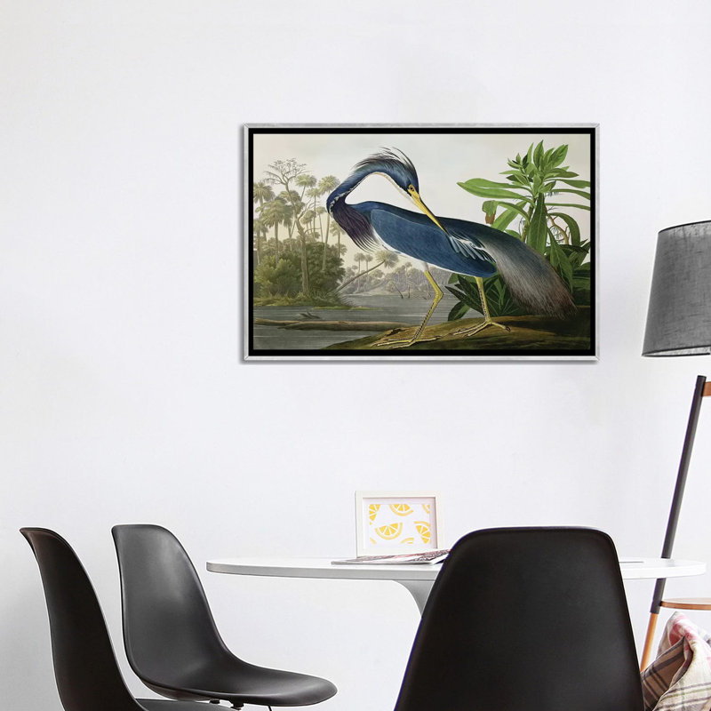 «Wick Louisiana Heron» par John James Audubon, reproduction sur toile, Impression encadrée, H 32 po x l 48 po, Argent argent