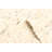 Sienna Beige Rug 5'0" x 7'11"