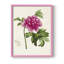 «Pretty Botanicals I», reproduction encadrée - bois massif-1495373842-1495373848