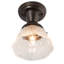 Mulkeytown 1 - Light Flush Mount