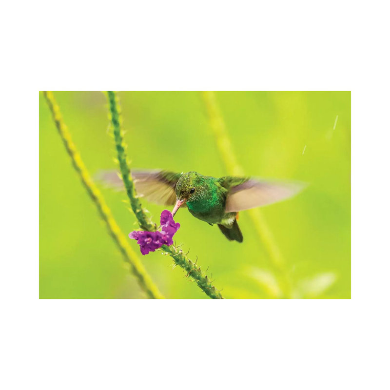 Costa Rica, Arenal 1 Piece Wrapped Canvas Wall Art, 20.32cm H x 30.48cm W